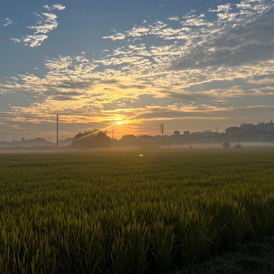 小红🍀