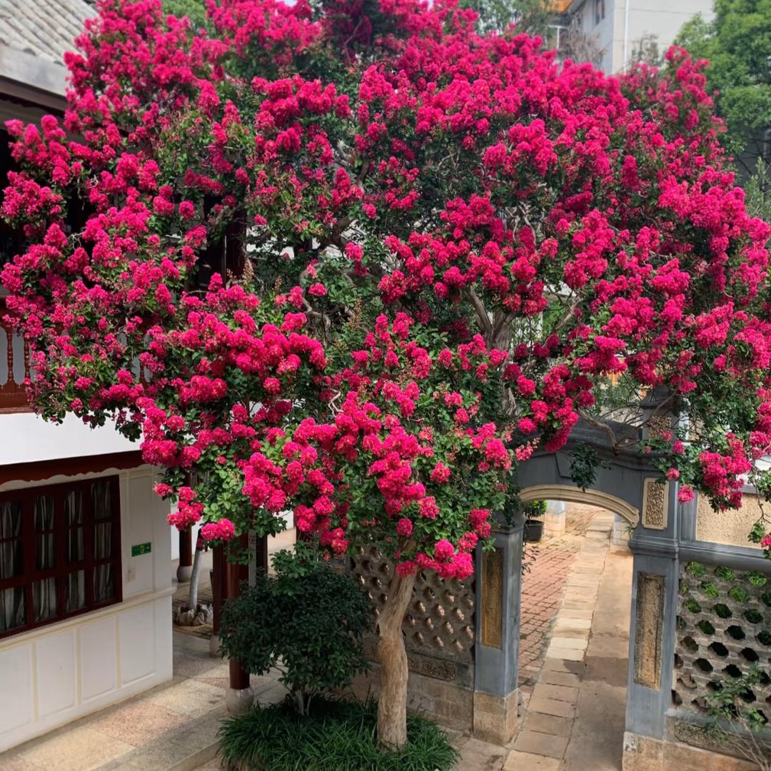 川红园艺臻选阁