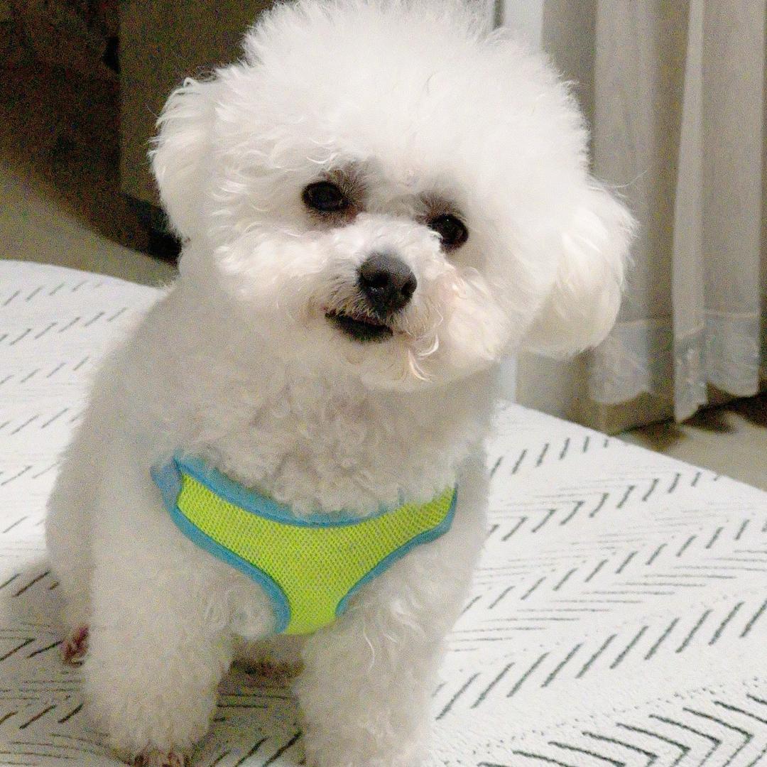 11瑜伽、普拉提🧘‍♀️🍀