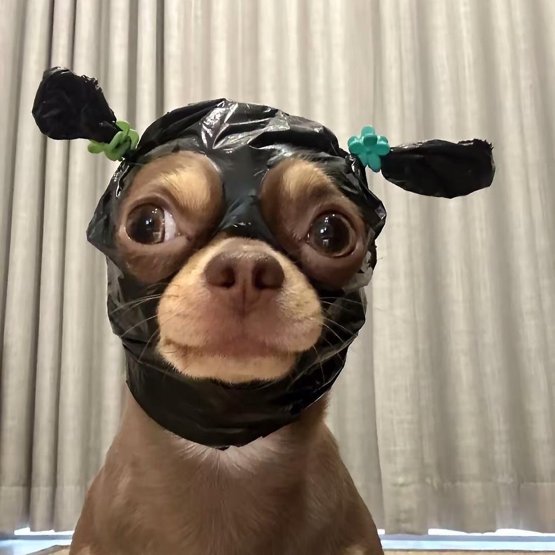 香辣鸡腿堡