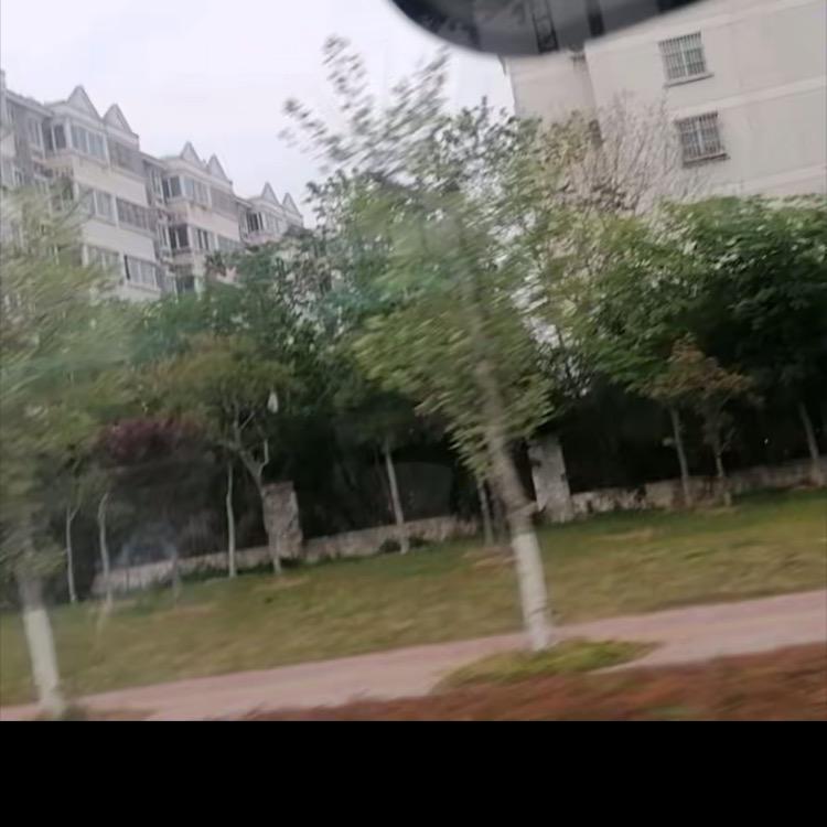 烟花春雨