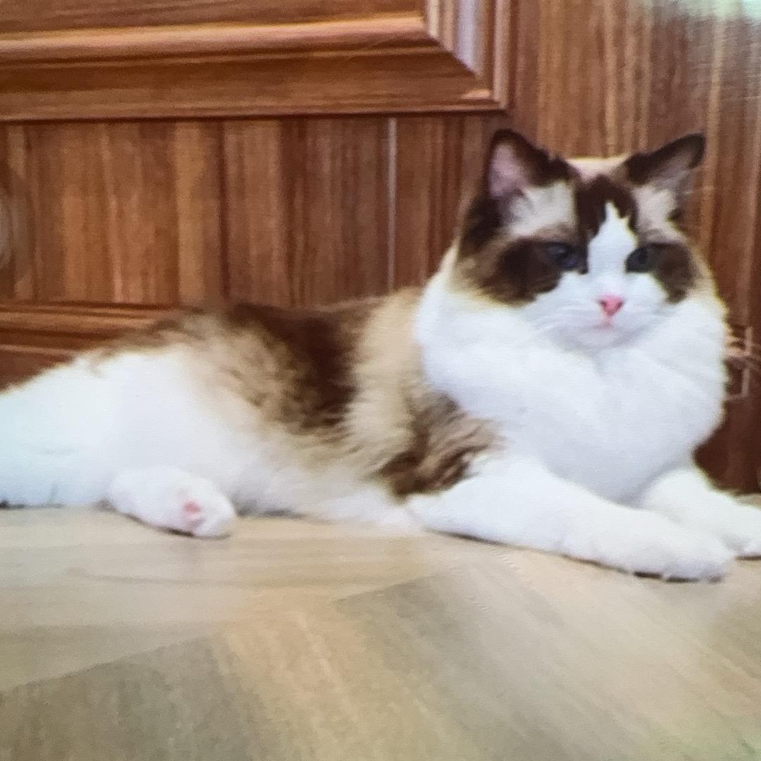 不负遇见✨₀₉₀₂₆