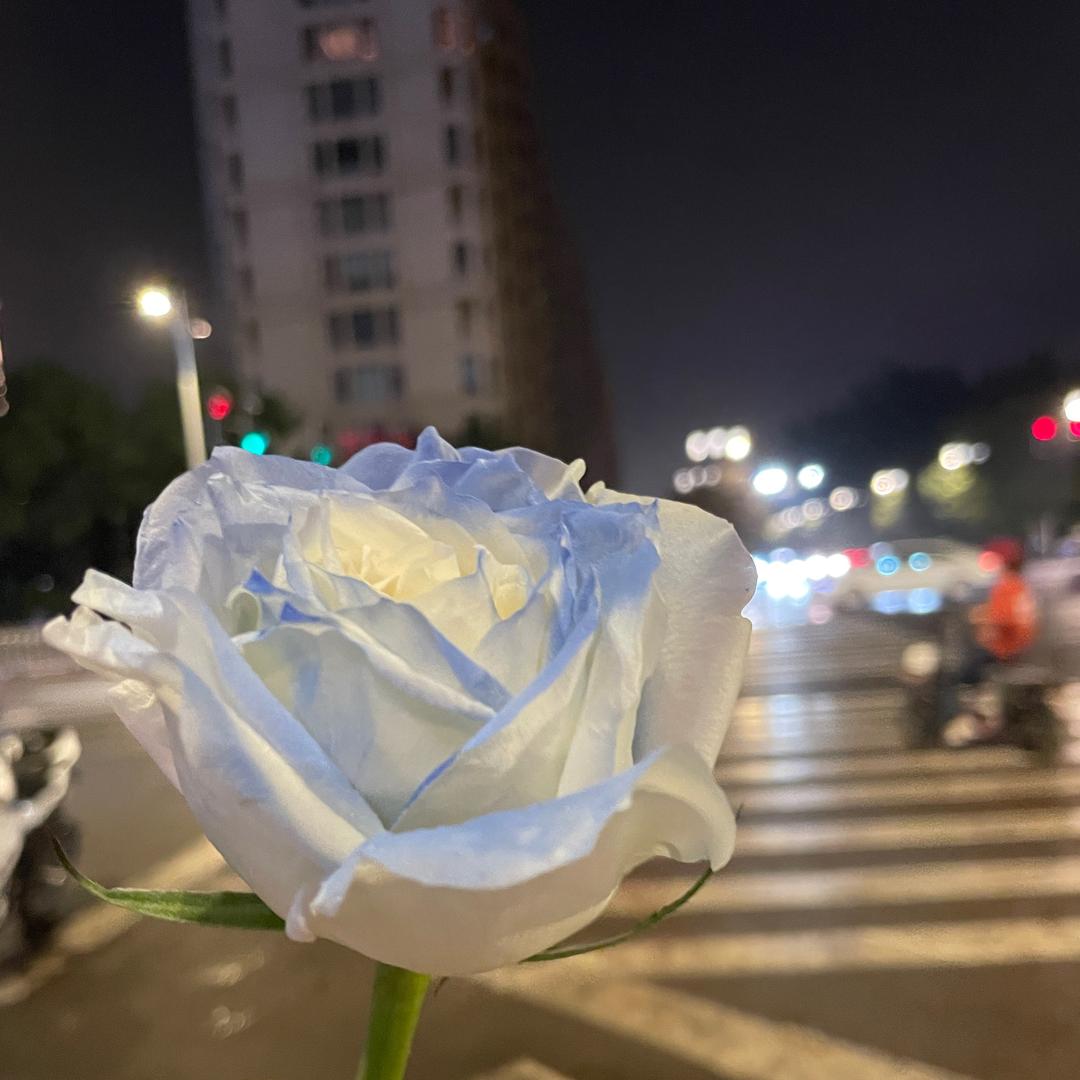 宇宙无敌可爱👻