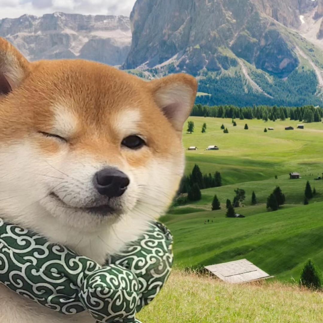 搞笑小狗子