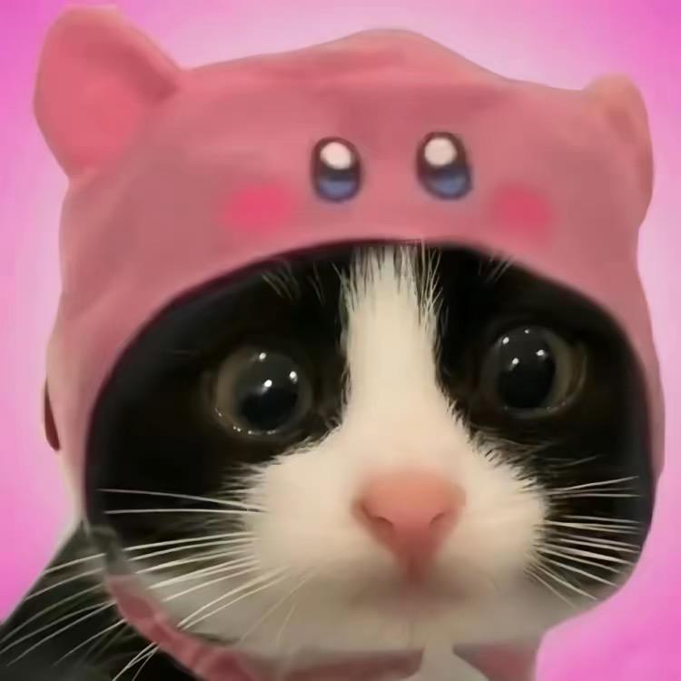 ꪔ̤̮