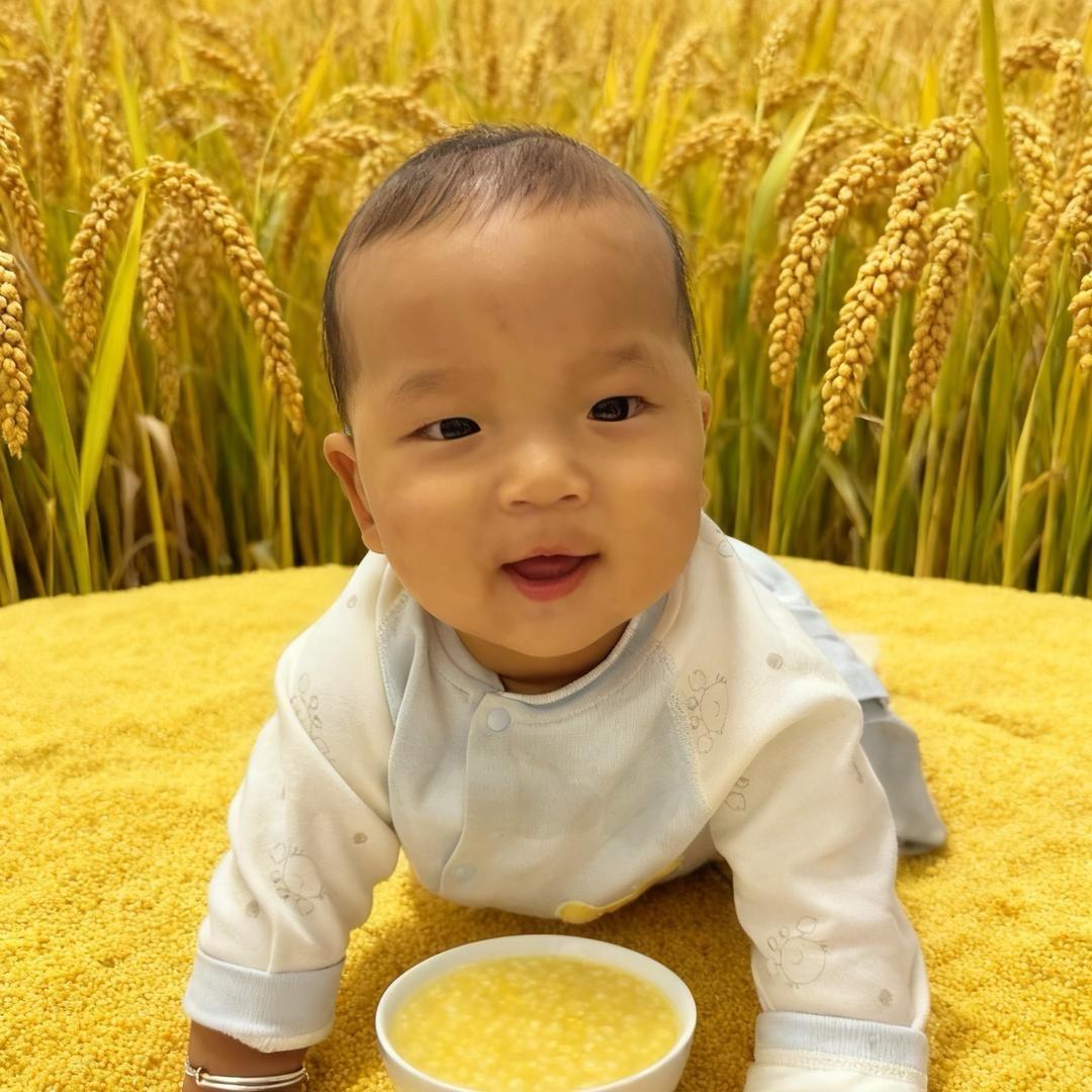 硕昌小米原产销售