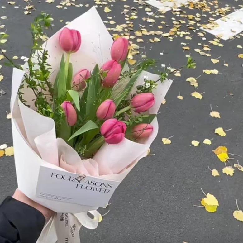 李子木🌷