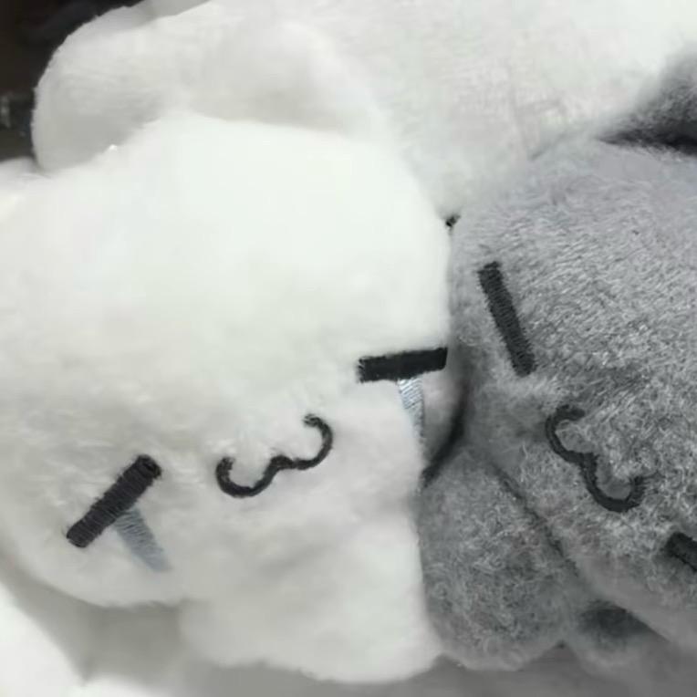 不冬眠💤