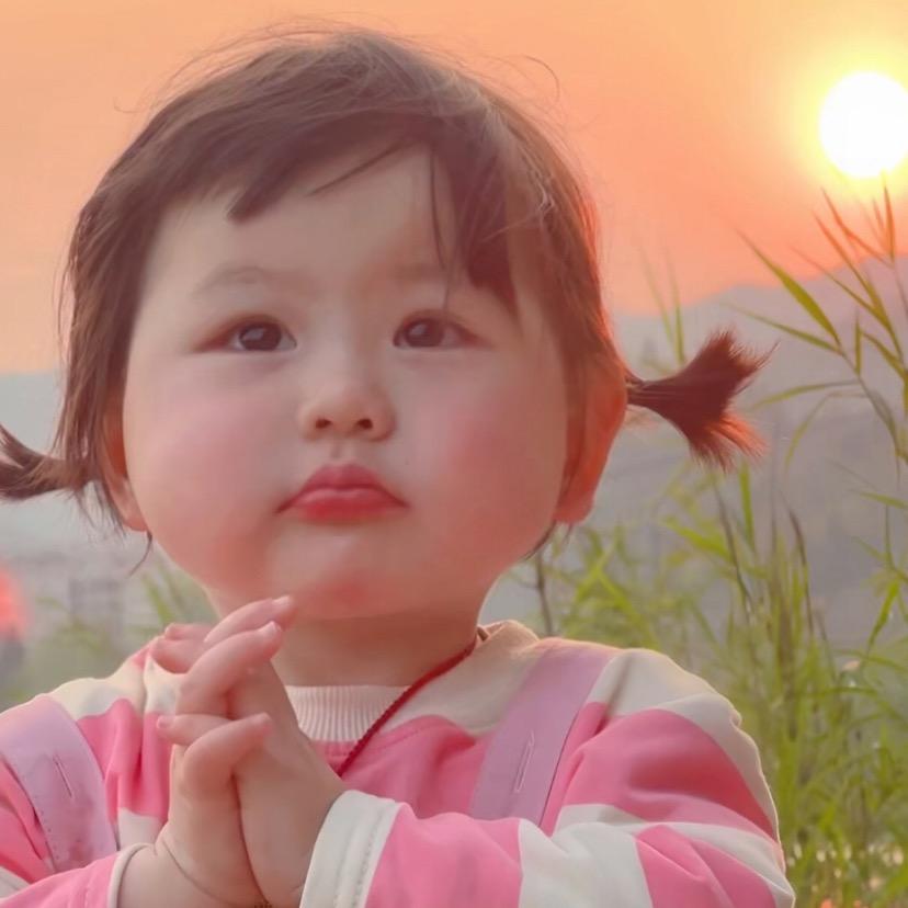 小橙子🍊