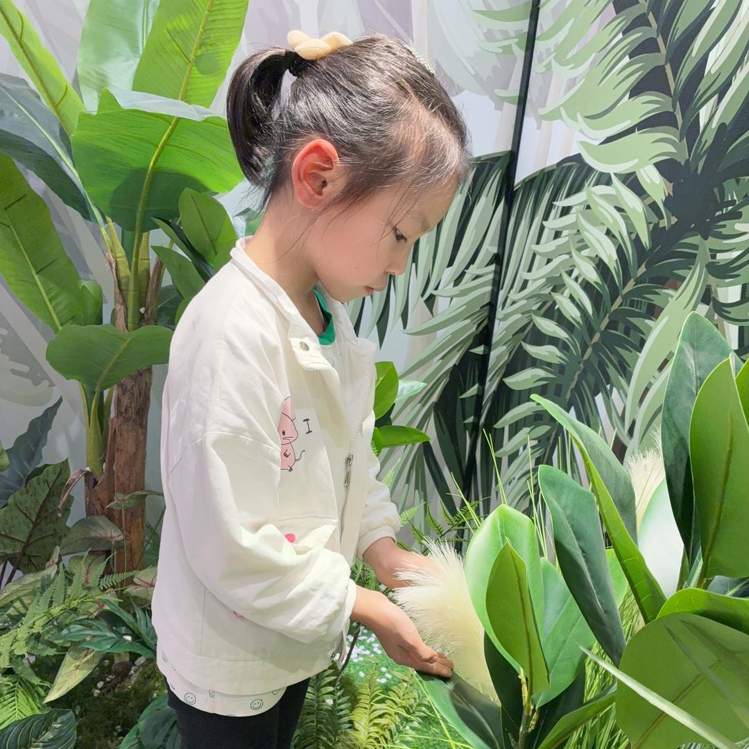 欣欣吖