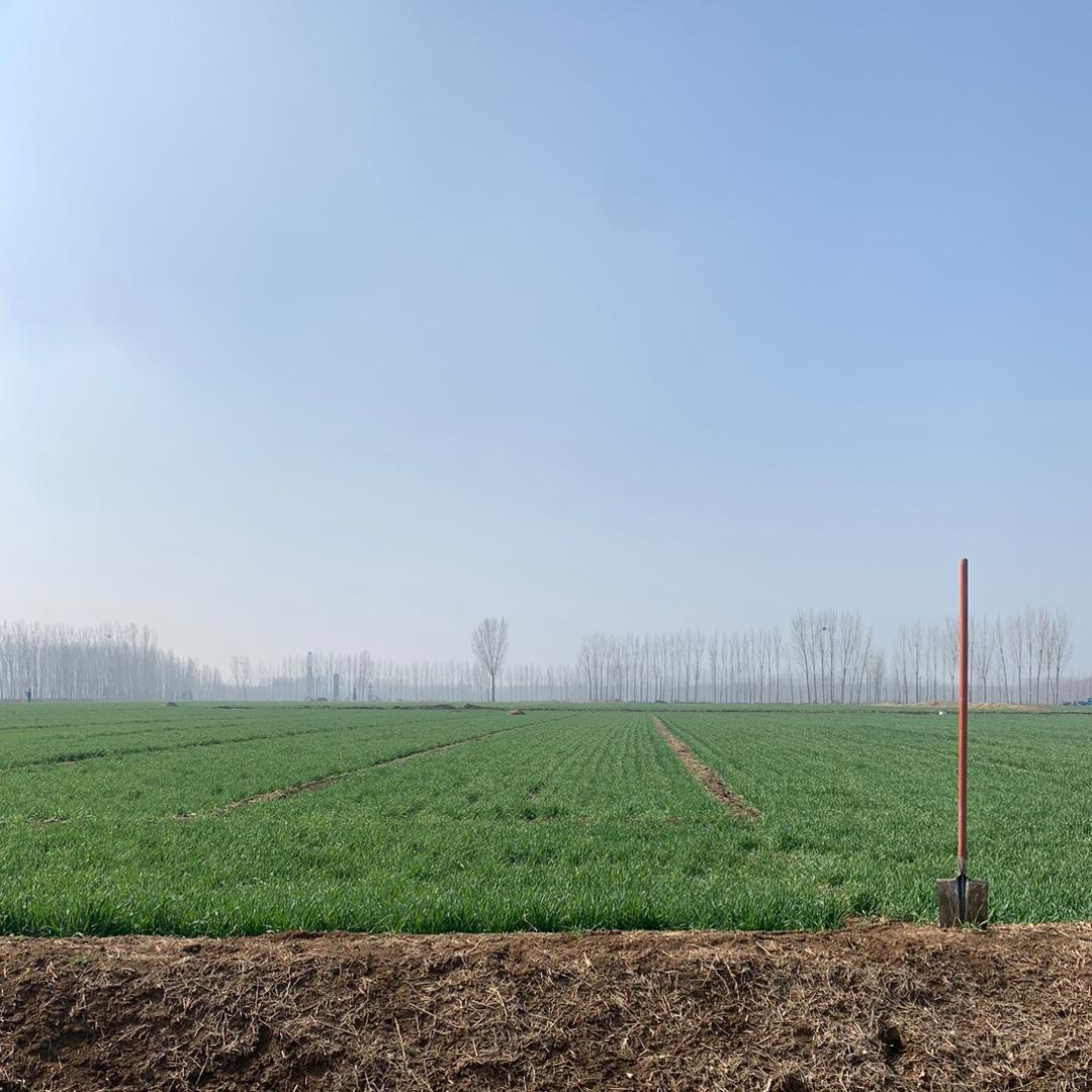 扛着锄头修理地球