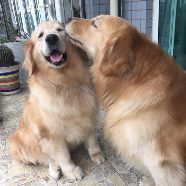 金禧练练