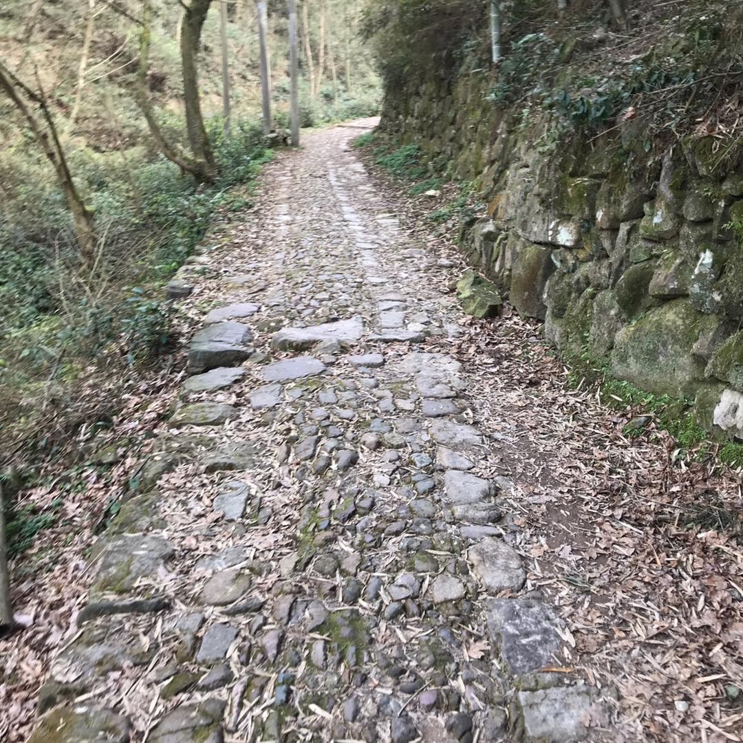 老爷是个体面人