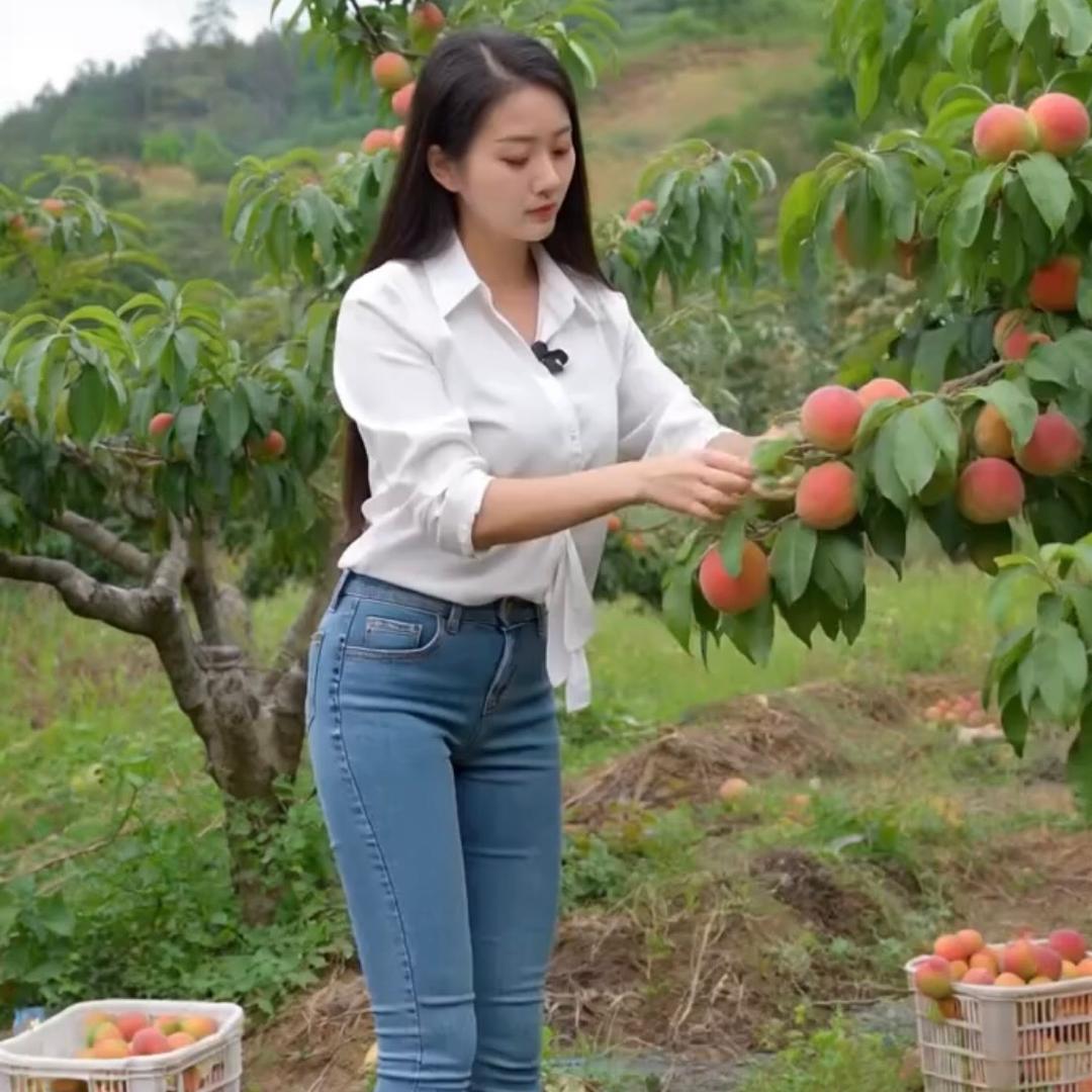 乡村桃子