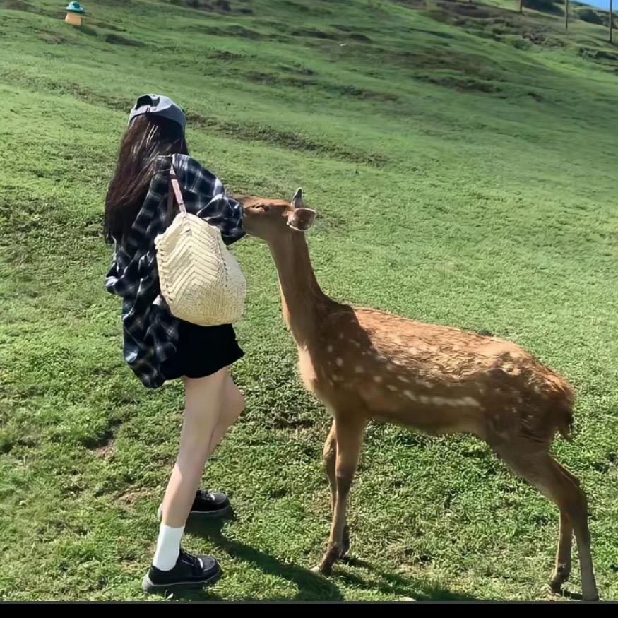 ．