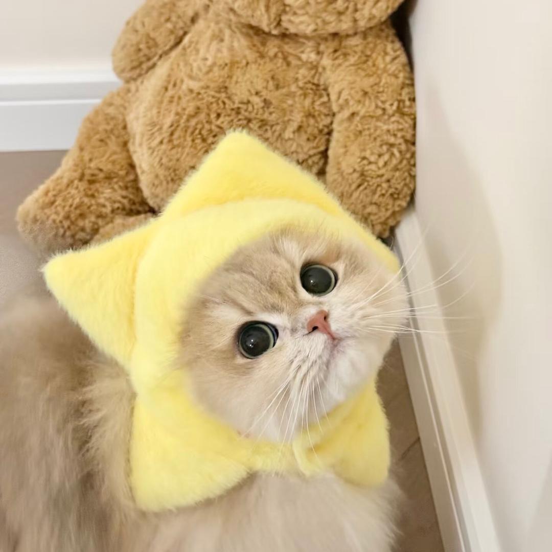 812