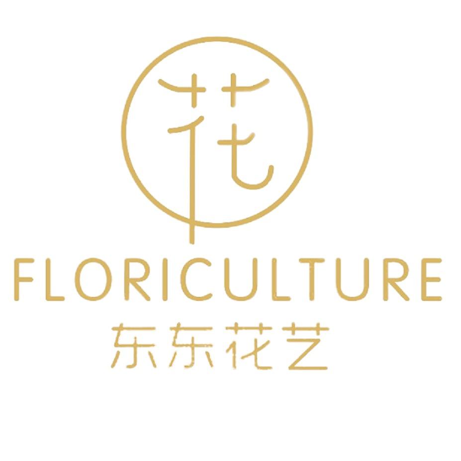 东东蝴蝶兰