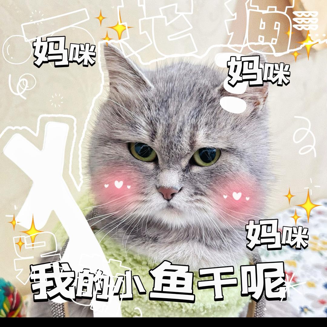 喵星人下班啦💰（冲万粉）