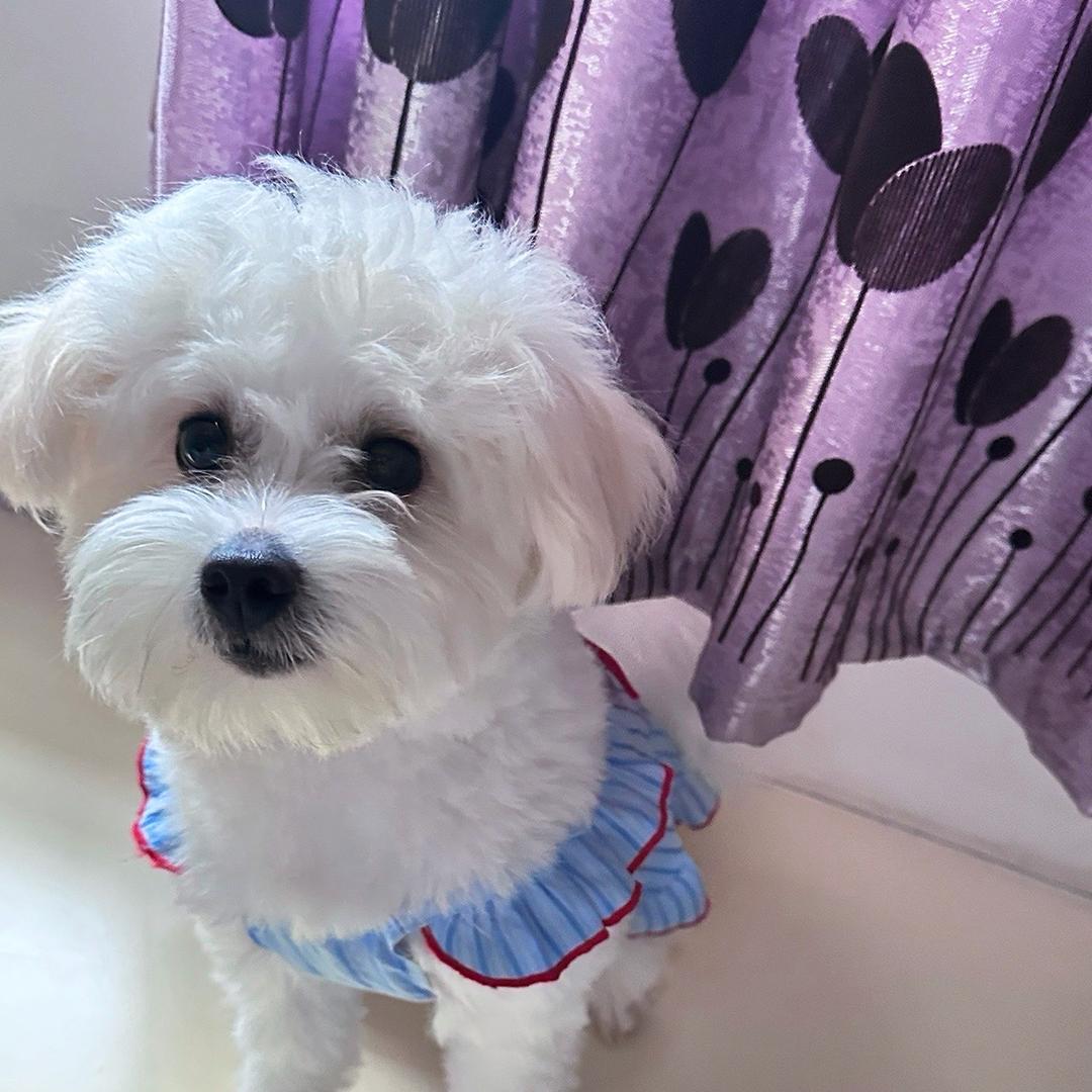 ღ᭄ꦿ  Miss杨🍀