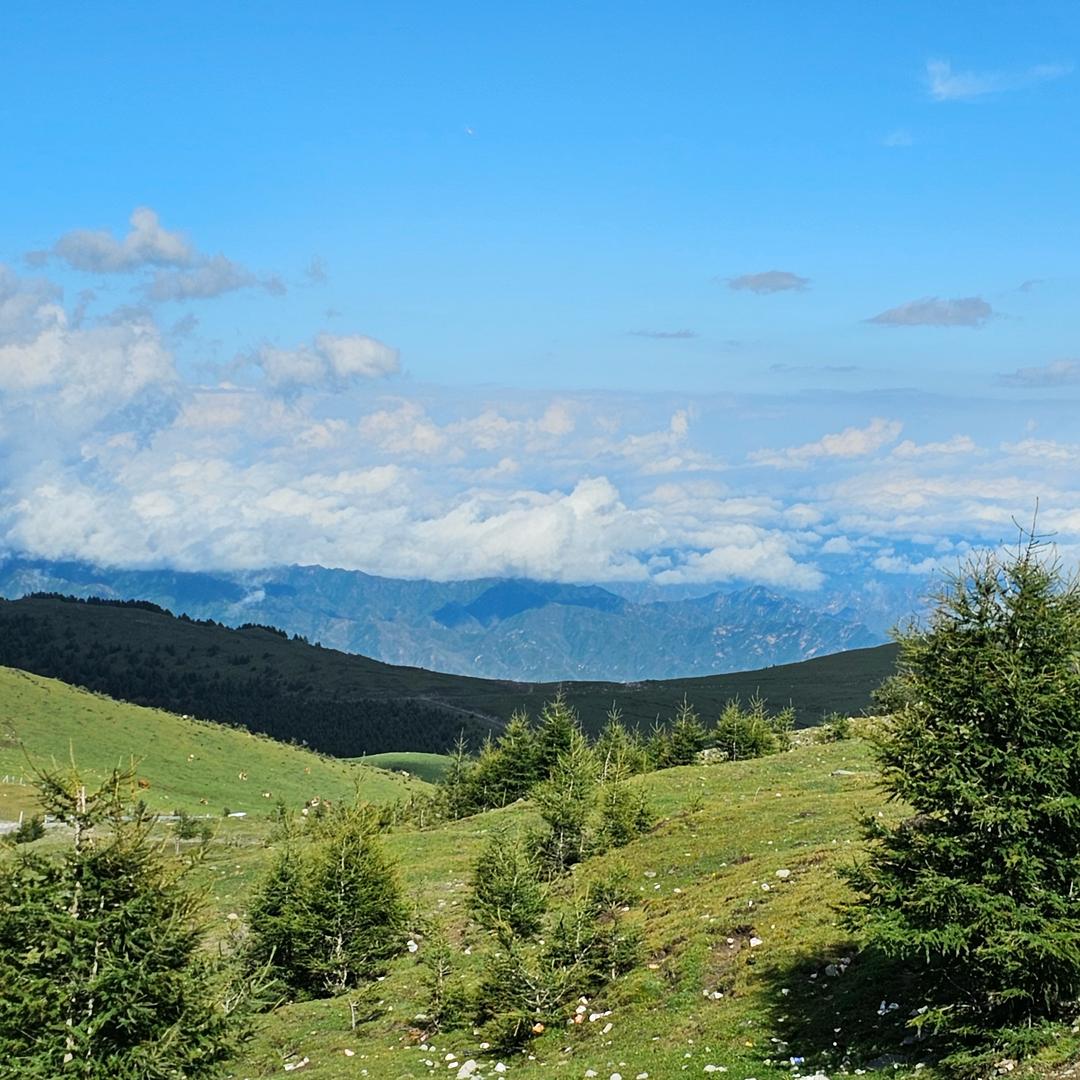 石家庄—许小许