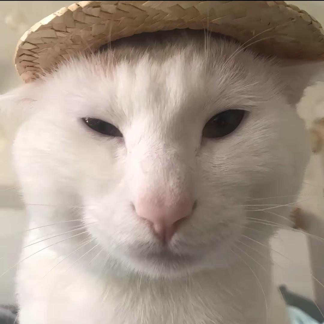 害怕伞兵