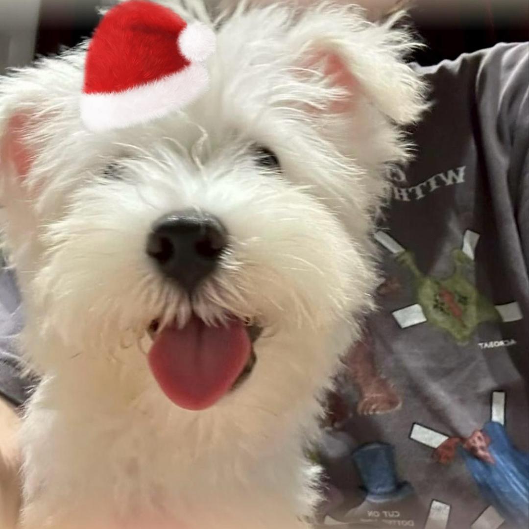 丁宇不要再刷抖音了