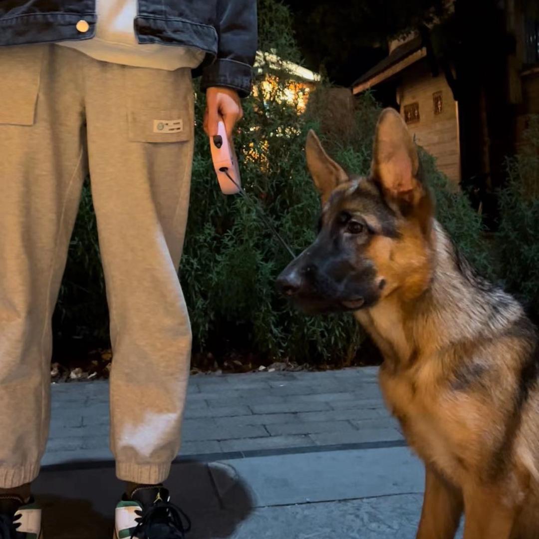 江城脉上犬舍（南溪）