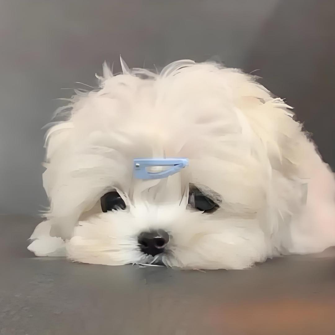 倾卿（代✂️）