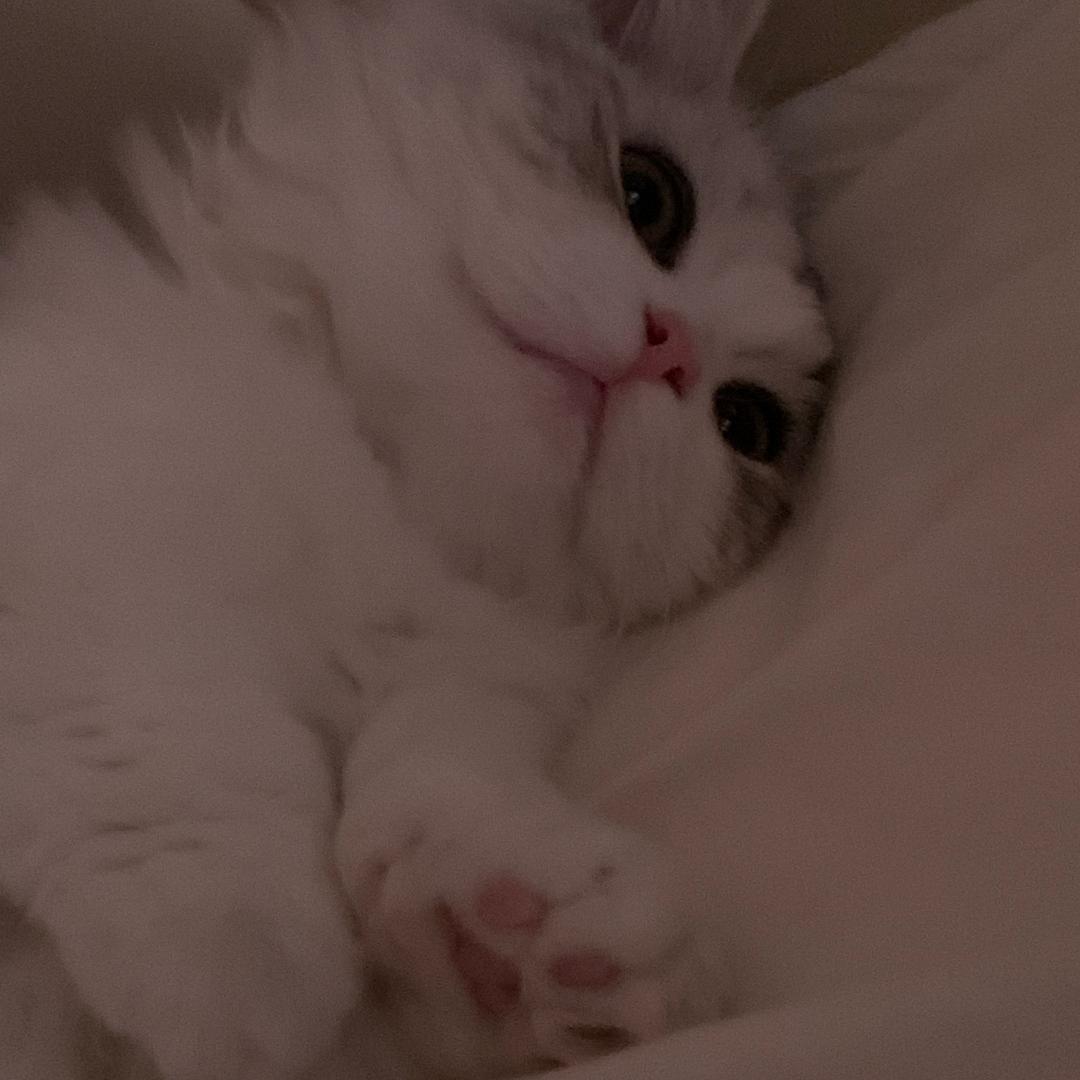 辛弃疾