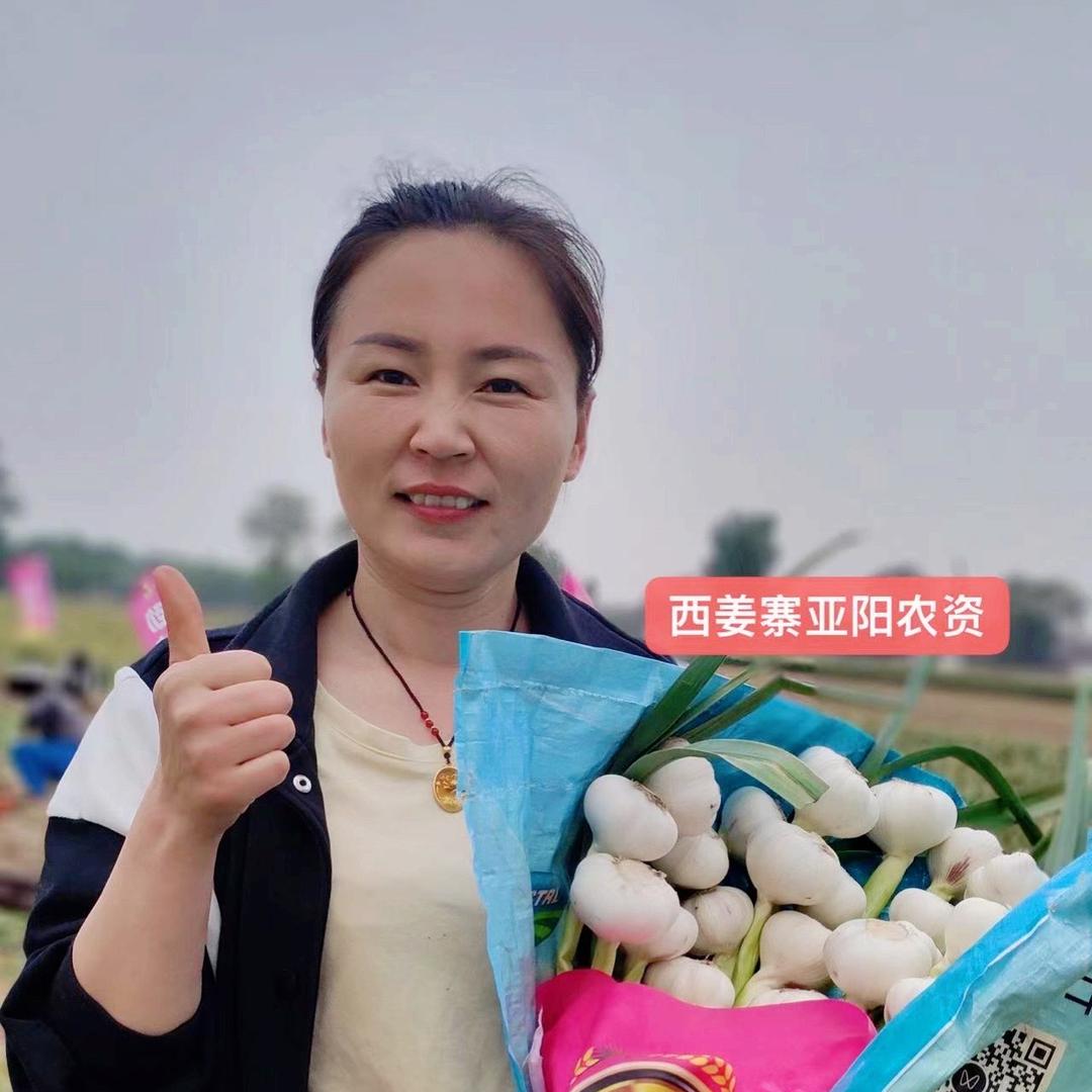 西姜寨亚阳农资