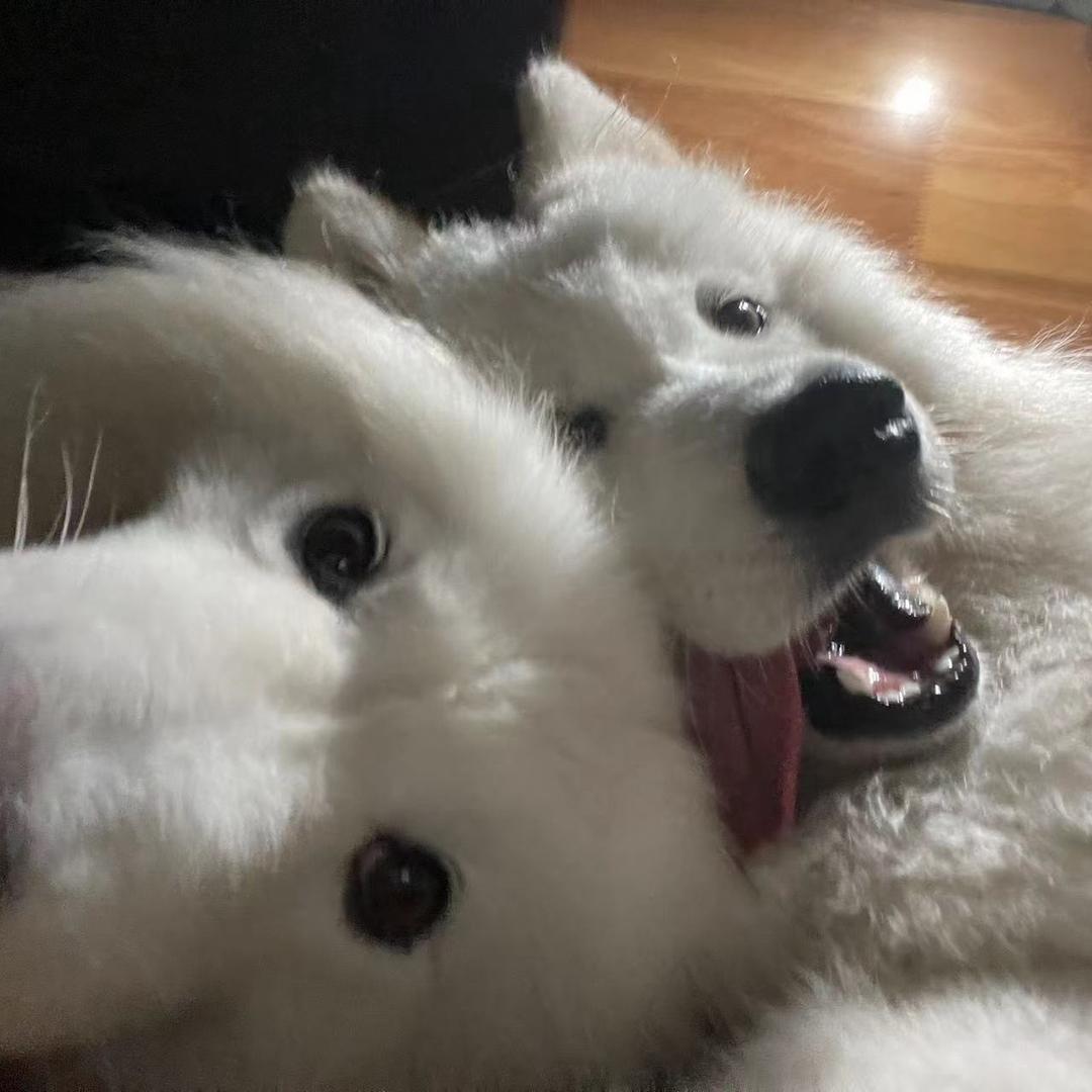 我QQ你要不