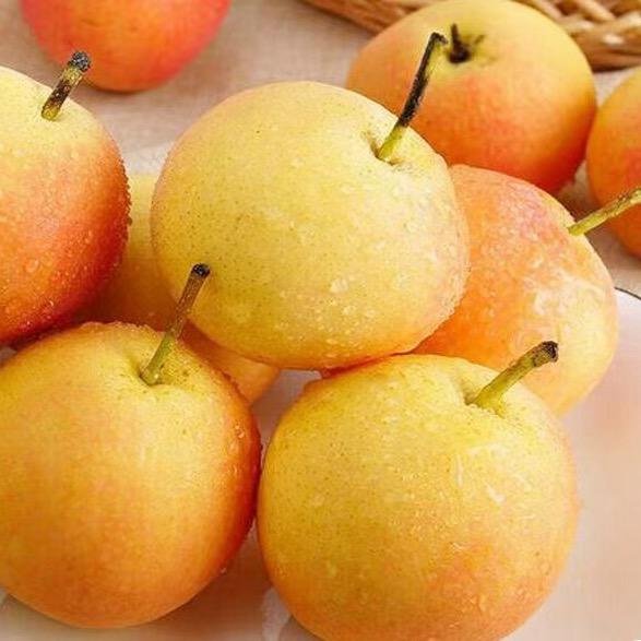 孟梨仙果家庭农场2号店