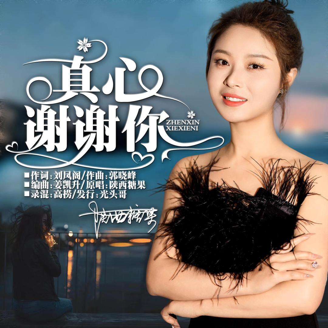 陕西糖果《真心谢谢你》