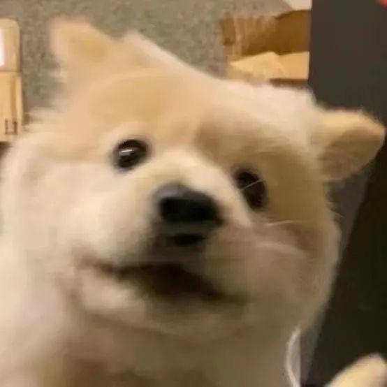 东南.