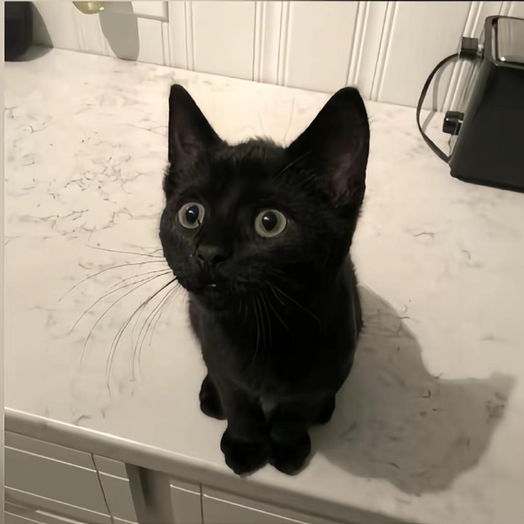 佑佑佑佑佑佑佑佑佑佑