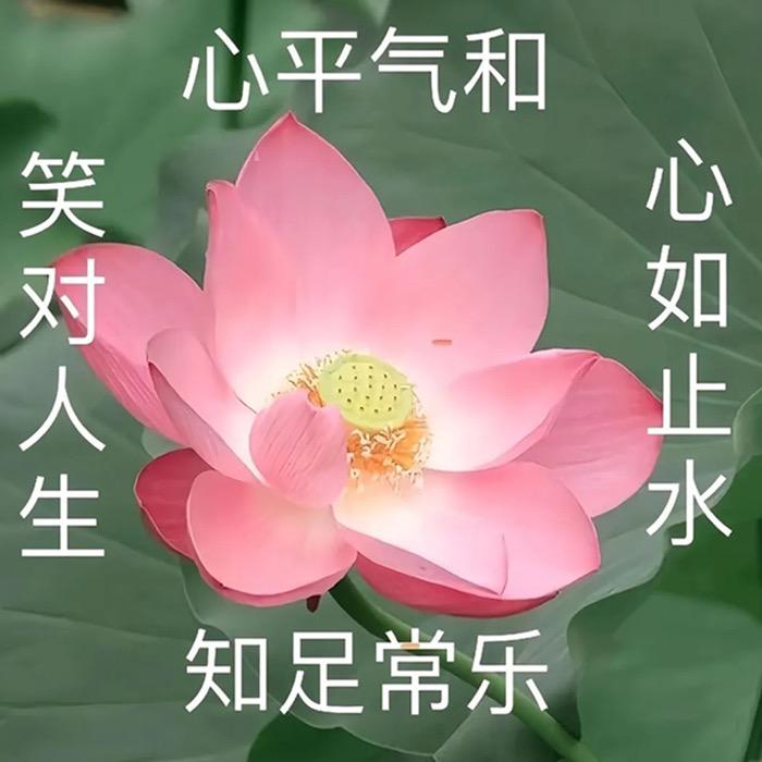 慢愿