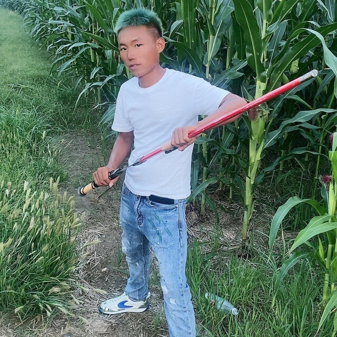 阜阳青椒317(干爹游三)