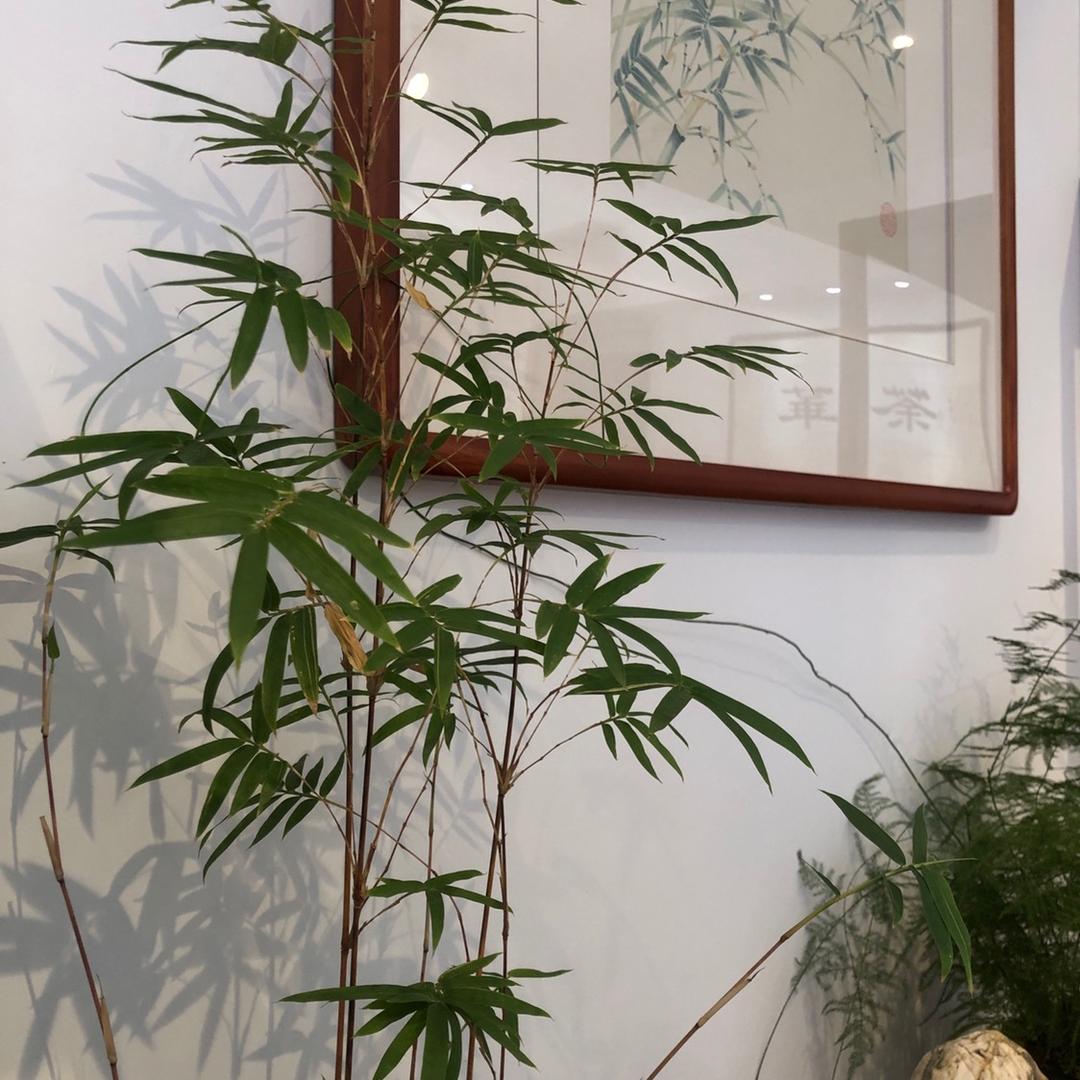 清风～如你