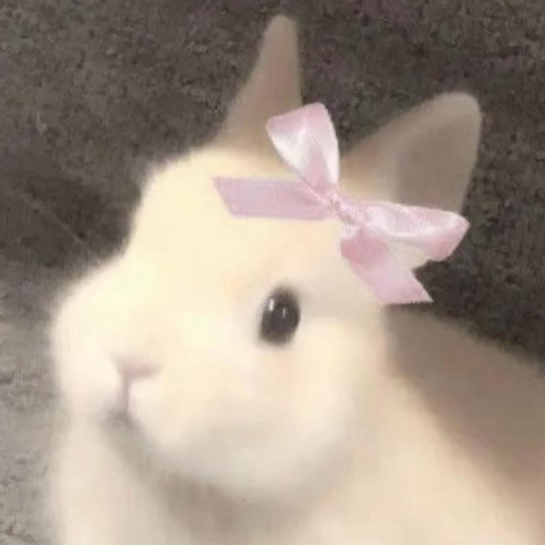 里里在干嘛
