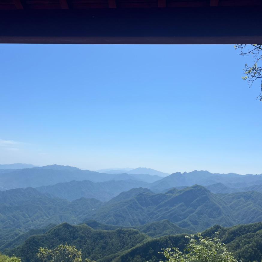 放肆的青春、