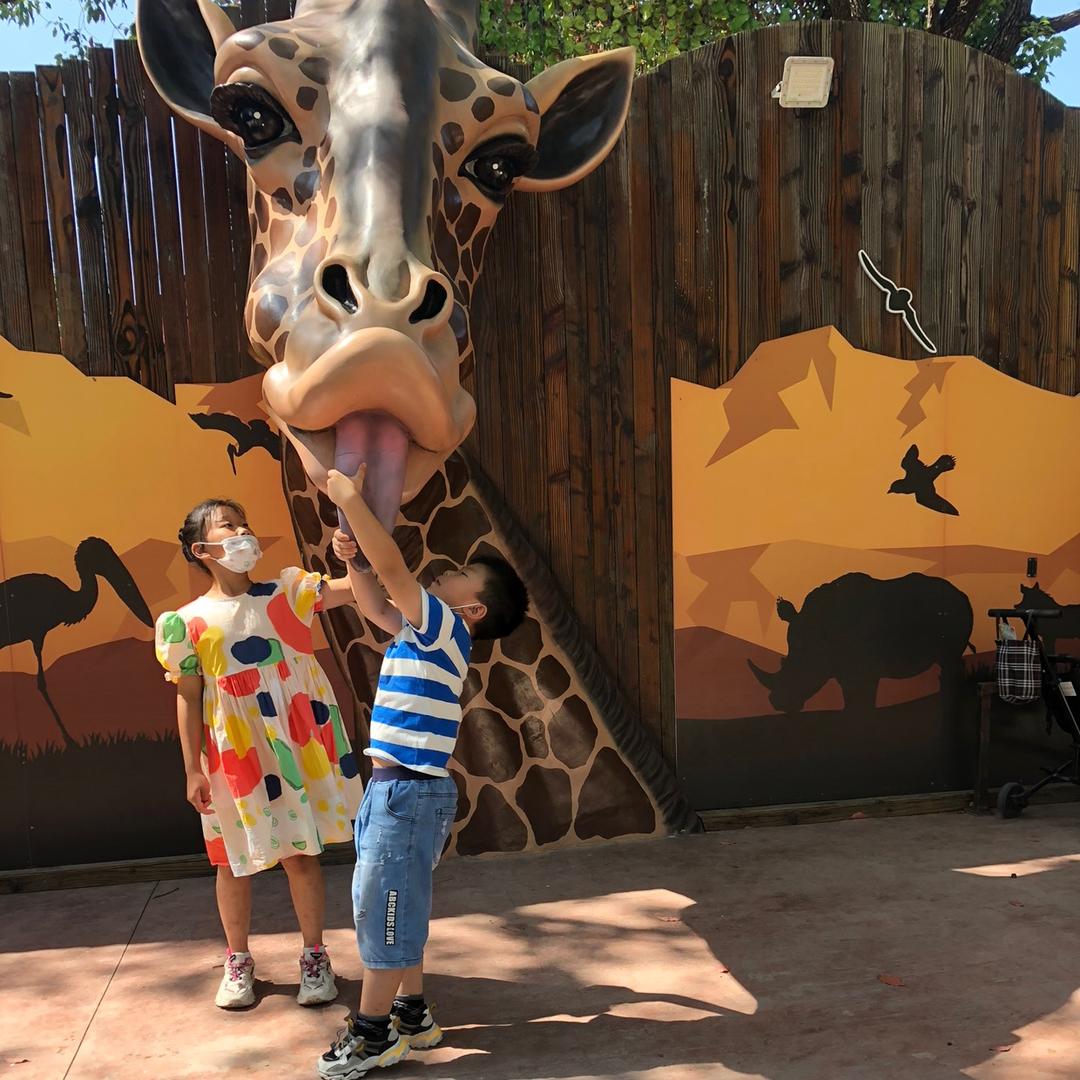 菲^_^辰（苏州丰旺纺织科技有限公司）