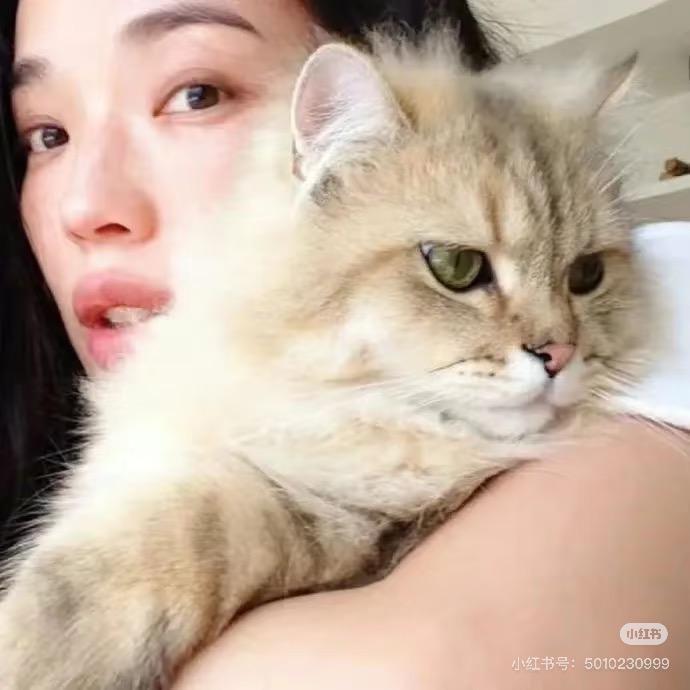 红蜻蜓说蚂蚁要搬家