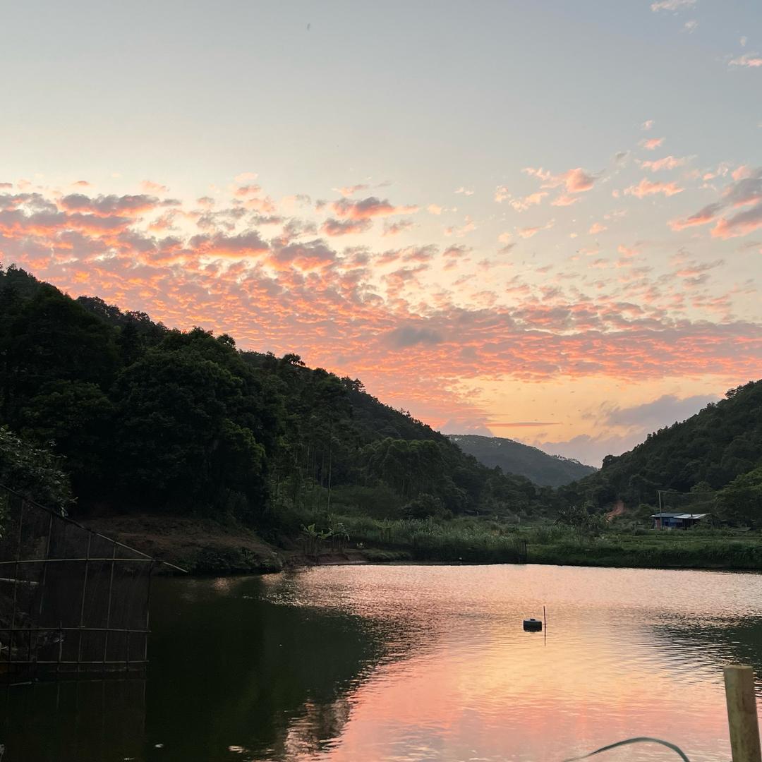 宁凡养殖臻选店