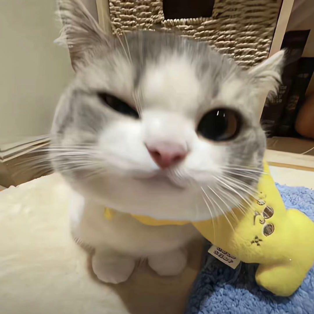 @四季