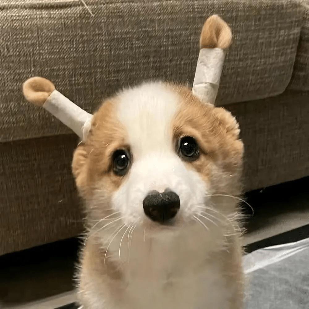 明天会更好