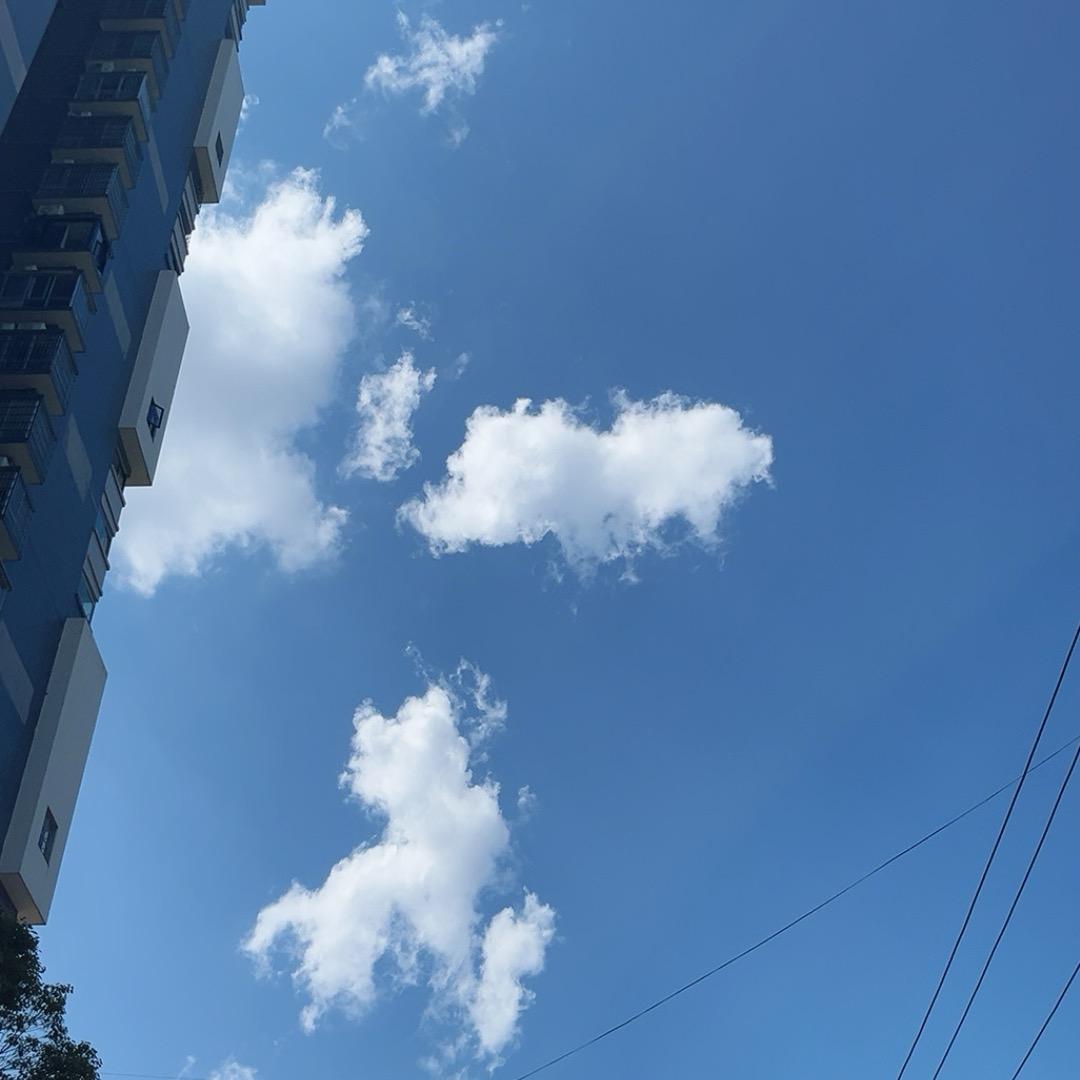 睡不捉｜晚安烧鸟｜