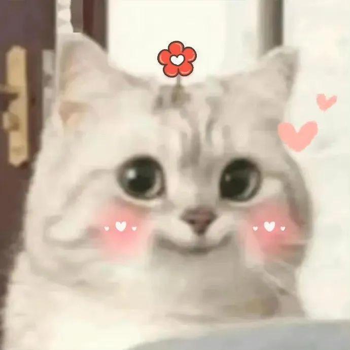 小鱼儿