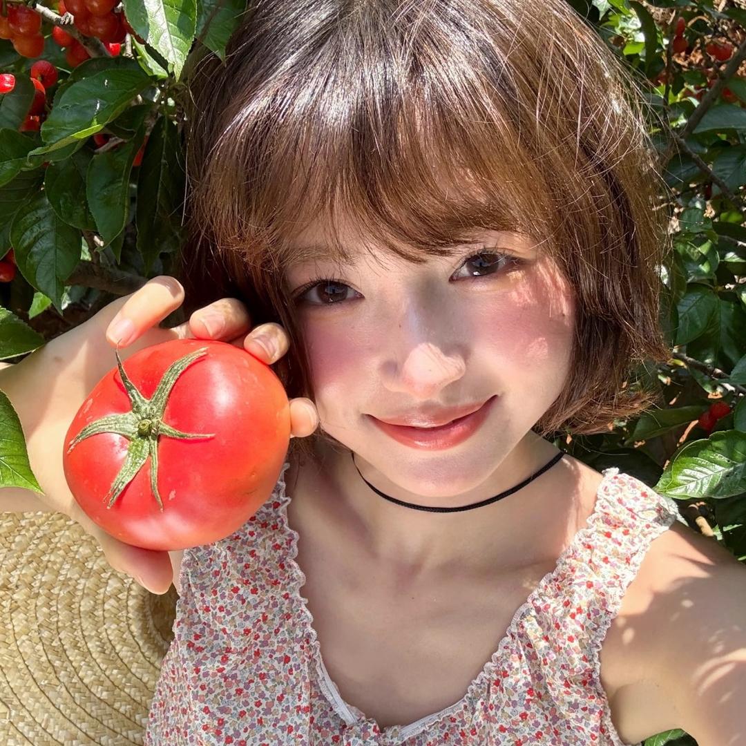 别碰我的西红柿