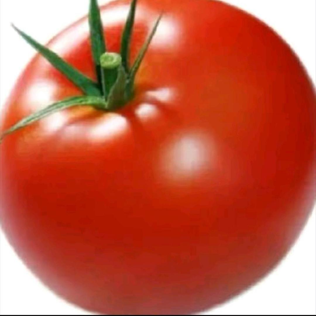 𝗧ay