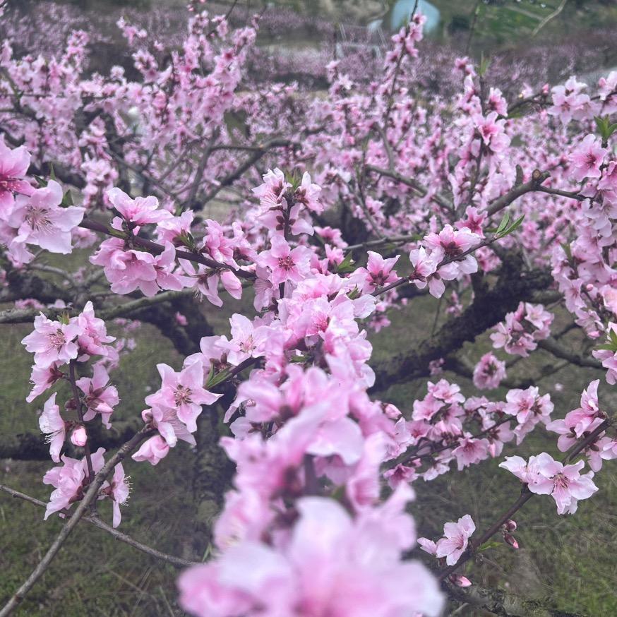 酩旭服饰